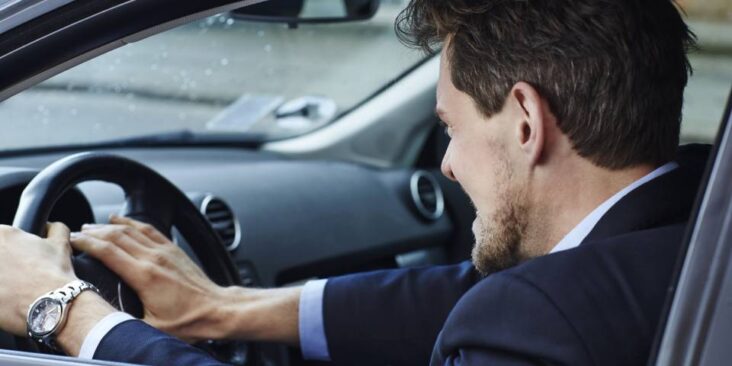 honkinghorn gettyimages