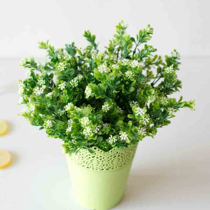 10 Objects that absorb the good fortune of your home