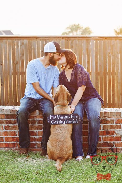 20 Images of the Exact Moment When These Couples gave Their Yes 20 Images of the Exact Moment When These Couples gave Their Yes