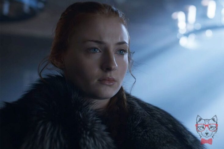 Game of Thrones Sophie Turner talks about the feminist link in the evolution of Sansa Stark