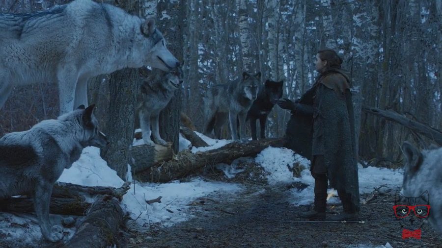 'Game of Thrones': Maisie Williams says goodbye to Arya Stark with this mysterious message 'Game of Thrones': Maisie Williams says goodbye to Arya Stark with this mysterious message