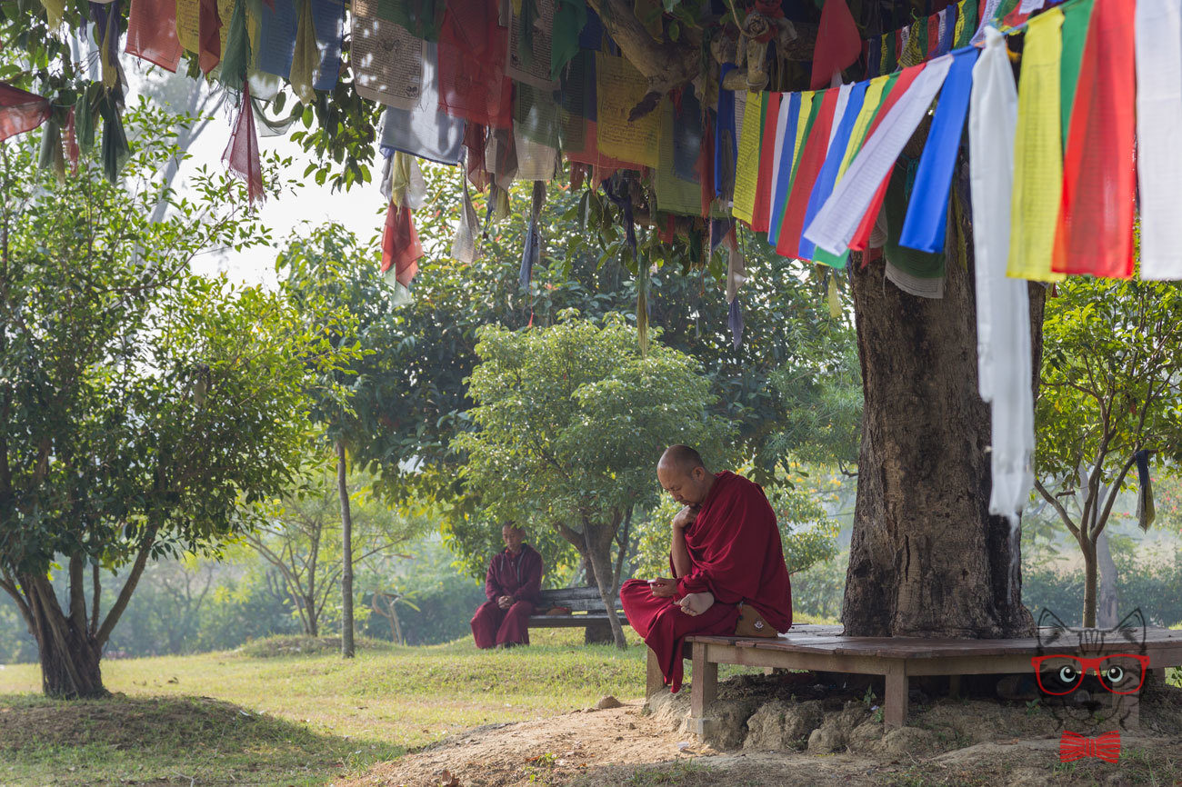 Here Are Some Hand Picked Best Destinations in Asia To Plan Your Next Holiday Trip