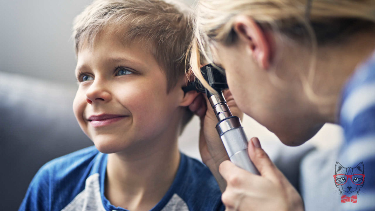 Most of the population has no notion of the aggressions to which we expose our ears with sounds that are not so high.