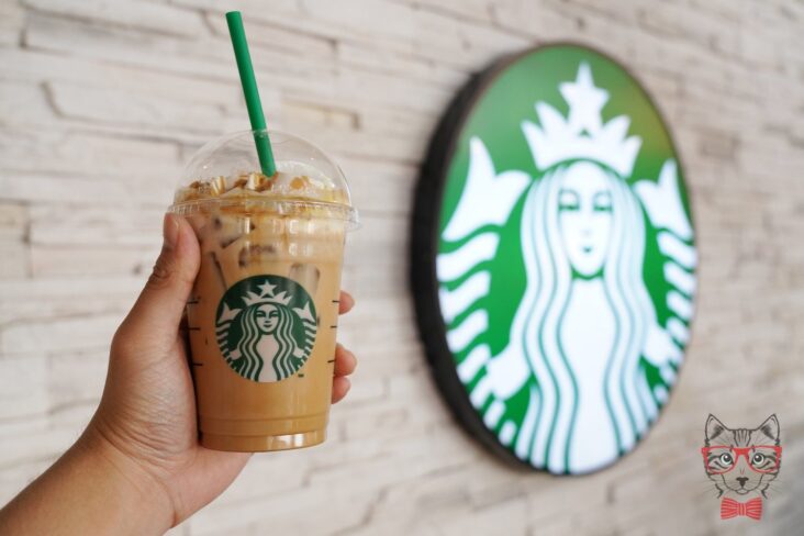 Starbucks will stop using plastic straws due to the damage they cause to the oceans the company announced.