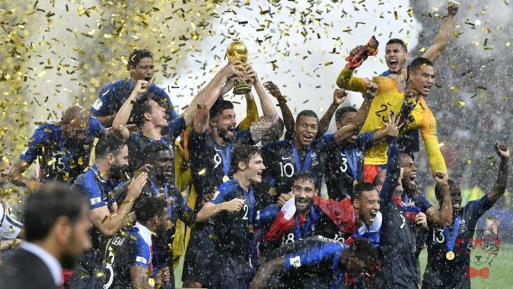 Why did France win the World Cup? russia soccer wcup france