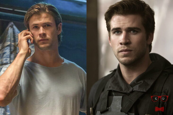 Liam and Chris Hemsworth