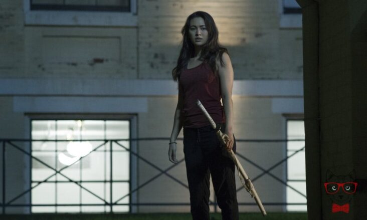 Colleen Wing Tells The Secrets Of The Second Season Of Iron Fist
