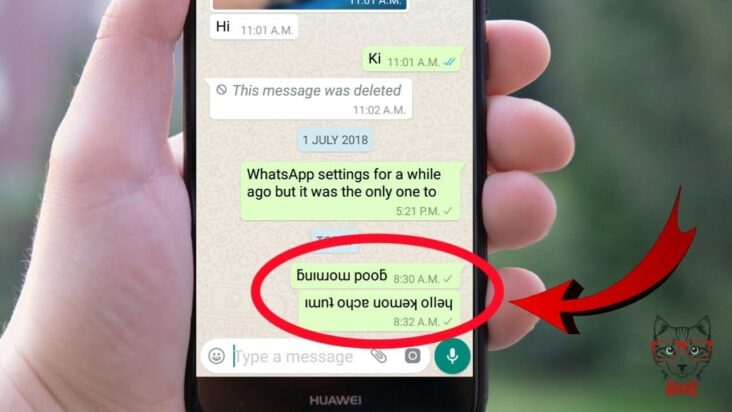 Did you know that you can write backwards on WhatsApp