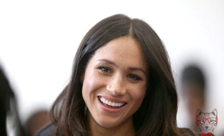 Meghan Markles top secret journey without Prince Harry 1