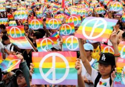 Confesses that he remembered the meme Shut up old lesbian to vote in the referendum