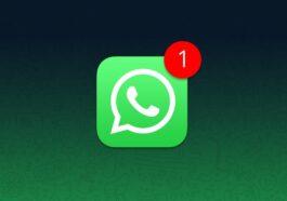 WhatsApp Notifications
