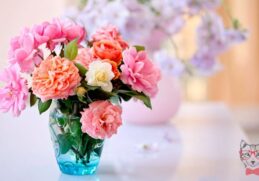 4 TIPS TO MAKE YOUR FLOWERS LAST LONGER
