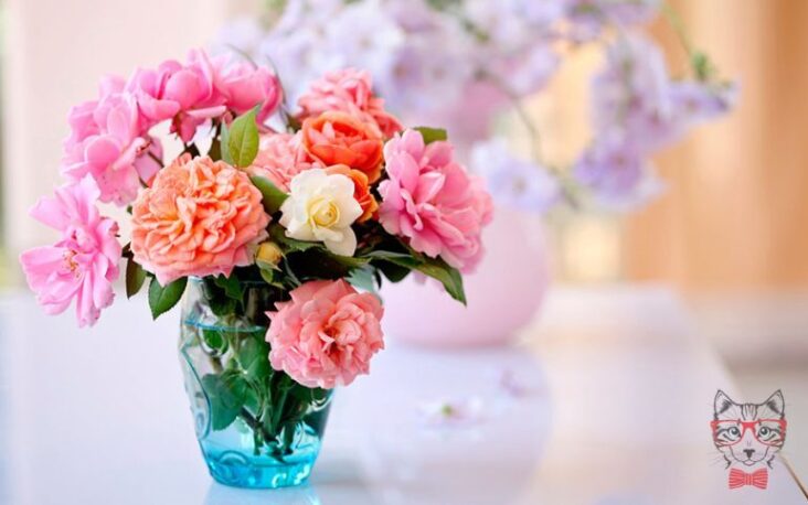 4 TIPS TO MAKE YOUR FLOWERS LAST LONGER