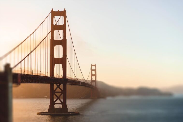 39 Things That’ll Make You Feel More Like An Adult In 2019 demo