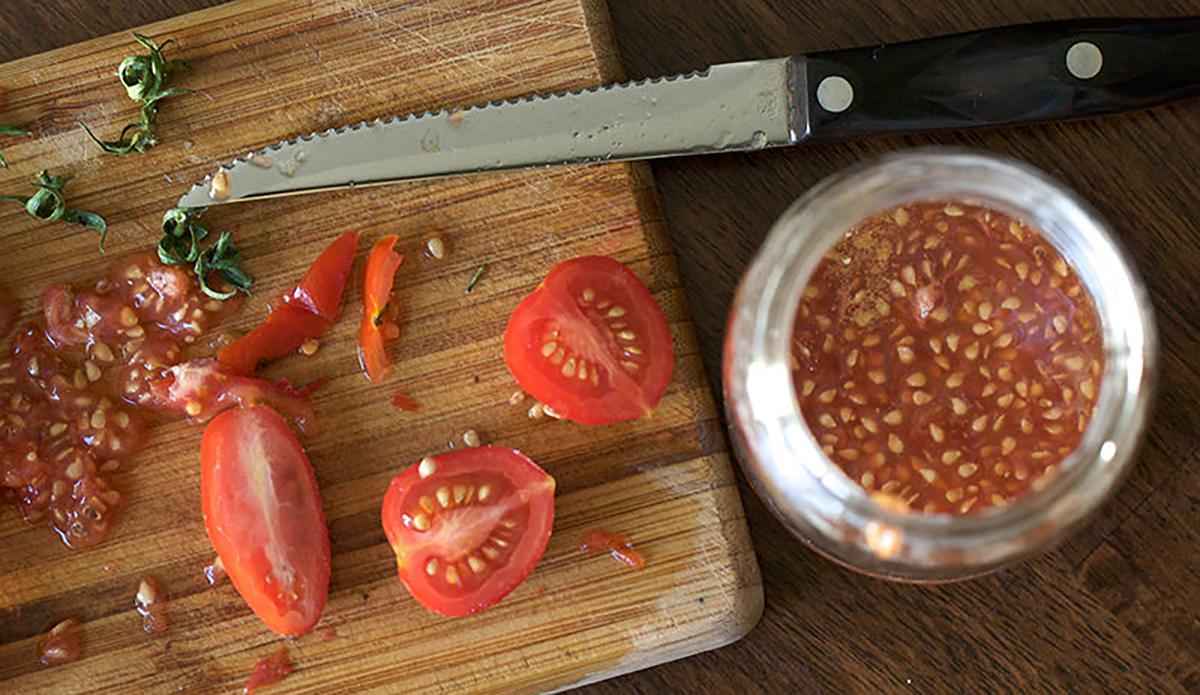 Do not remove tomato seeds for these benefits