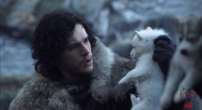 Game of Thrones: Which wolves of the Stark live?
