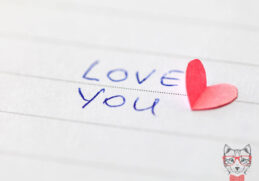 love paragraphs for her