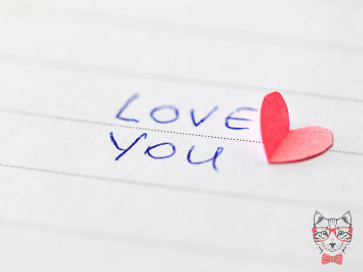 love paragraphs for her