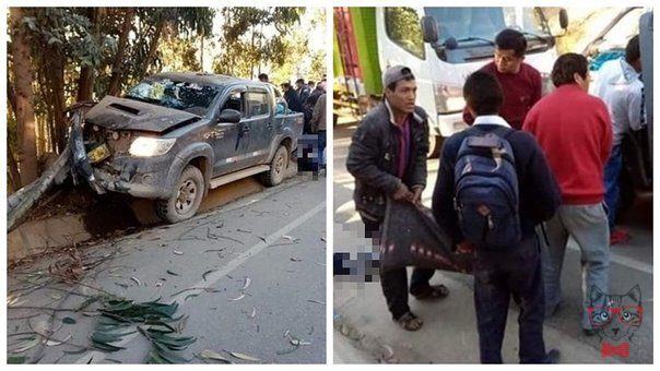 Three schoolchildren die after being hit by a van