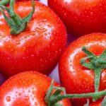 10 Super Food that increase the efficiency of lose weight 10 Super Food foods that increase the efficiency of lose weight