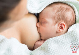 breastfeeding united states world health assembly