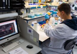 Coronavirus cure on the way Laboratories confirm vaccine