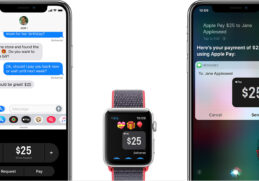 ios12 watchos5 iphone x watch applepay hero
