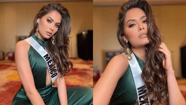 Who is Ryan Antonio, the tiktoker who would have stolen the heart of Miss Universe Andrea Meza Miss Universe dated the famous American tiktoker even before her coronation