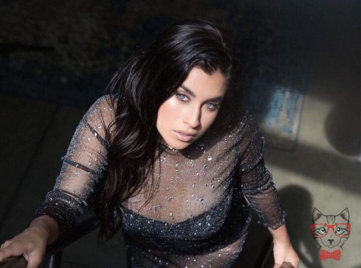 Lauren Jáuregui insults Jason Derulo for this unusual reason Lauren Jauregui insults Jason Derulo for this unusual reason