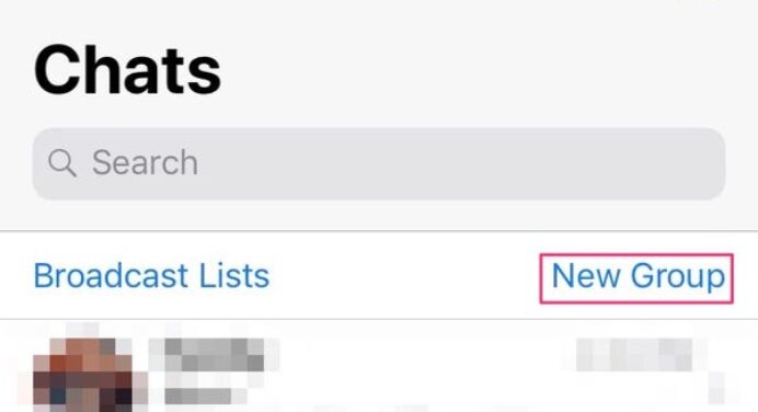 WhatsApp: how can you see the details of creating a group in the app?