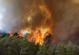 Turkey wildfire image