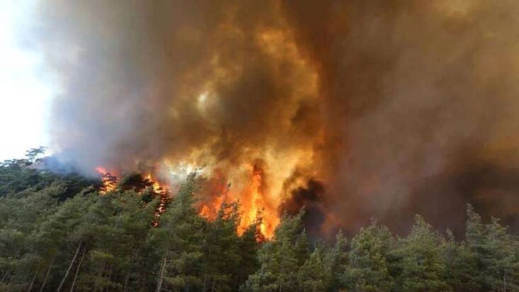 Turkey Wildfire: Darkest wildfire in Turkey; The fire, which engulfed more than 100 areas, increased the death toll to 8 Turkey wildfire image