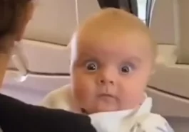 Baby gives an intense look at his boarding partner