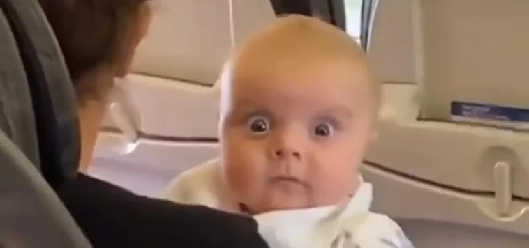 Baby gives an intense look at his boarding partner