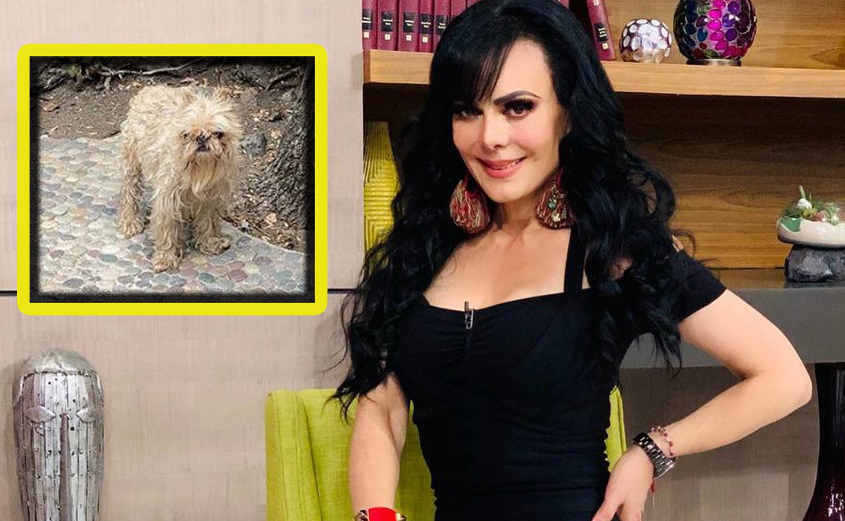 Maribel Guardia