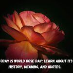 Today is World Rose Day Learn about its history meaning and quotes.