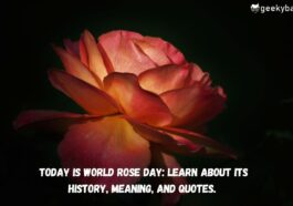 Today is World Rose Day Learn about its history meaning and quotes.