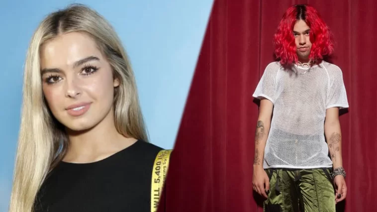 Who is Addison Rae's boyfriend? Omer Fedi ? Are you Sure? Who is Addison Raes boyfriend