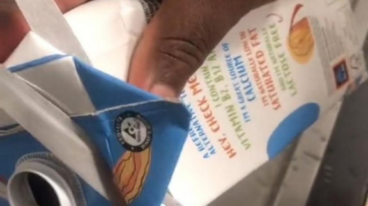 Woman finds a strange animal inside the milk carton