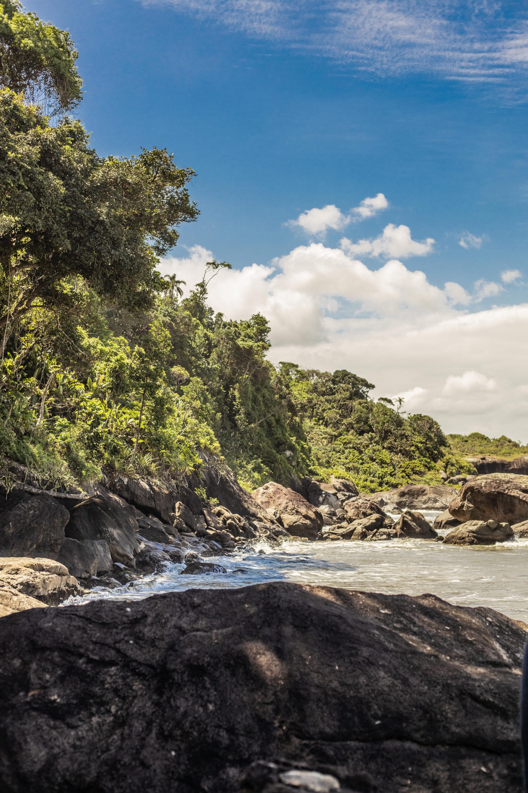 Spring officially begins this afternoon, thanks to the influence of La Nia. green trees beside body of water during daytime