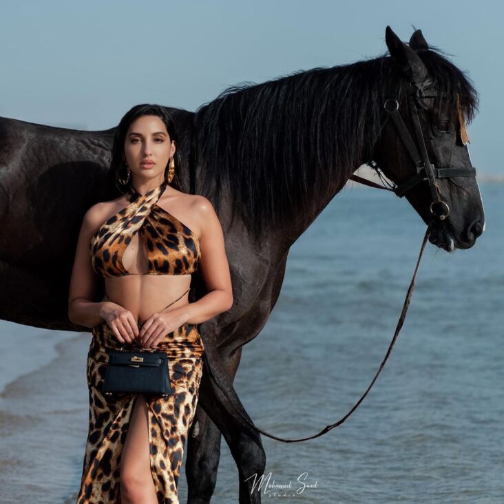 norafatehi 228367468 353608119773536 4017584067669183169 n