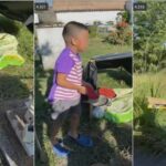 viral video of a boy living in a cemetery