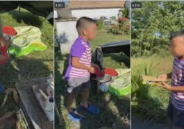 viral video of a boy living in a cemetery