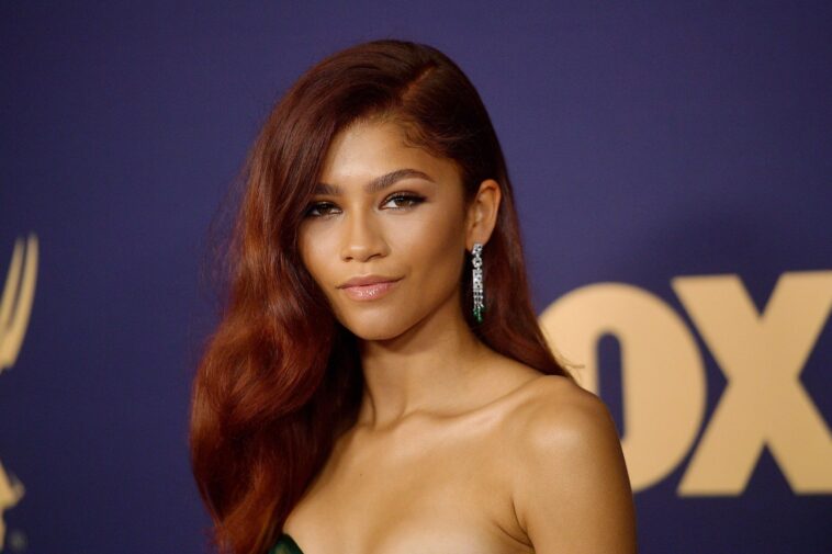 Zendaya (Actress) Wiki, Net Worth, Boyfriend, Height, Weight, Career, Facts zendaya 1
