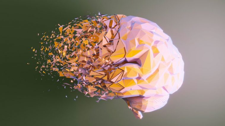 BRAIN 1