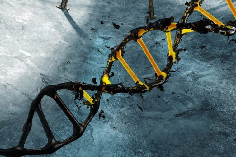 Genetics would explain the serious symptoms of COVID-19 in young people COV 1 3