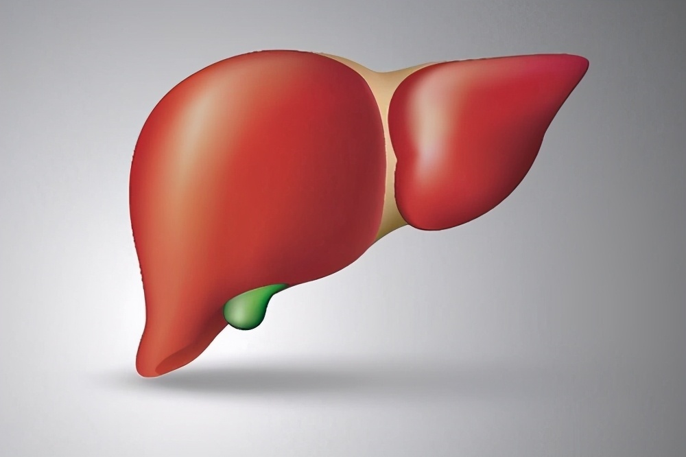 Due to the coronavirus pandemic, more alcohol was consumed and there are more patients who need liver transplants Due to the coronavirus pandemic, more alcohol was consumed and there are more patients who need liver transplants