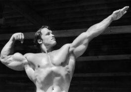 Arnold Schwarzenegger scaled