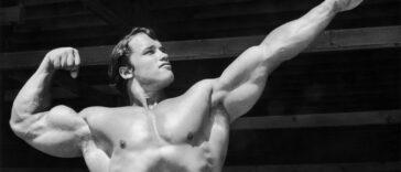 Arnold Schwarzenegger scaled
