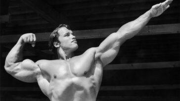 Arnold Schwarzenegger scaled